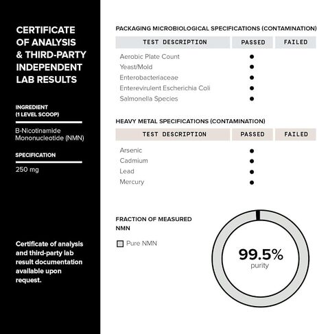 Toniiq Ultra High Purity NMN Powder - 100 Grams - 99.5% Highly Purified and Highly Bioavailable - Fully Stabilized Formula - Supports NAD+ Levels - Nicotinamide Mononucleotide Powder Supplement in Kuwait