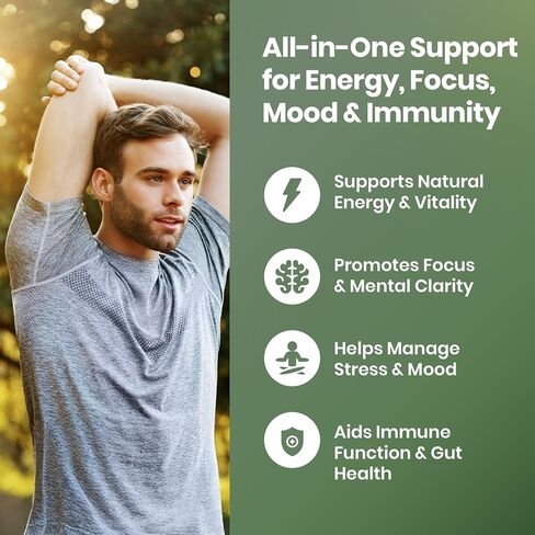 Cured 4 in 1 Gummies for Vitality with Pure Himalayan Shilajit for Men & Women, Lions Mane Mushroom, and Sea Moss Ashwagandha Supplements | Vegan & Non-GMO Neuropathy Supplements | Made in America in Saudi Arabia