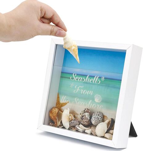 FramePro 8"x8" Seashell Holder Display case-Seashells Agates Shark Teeth Starfish Trinke, Seashell Collection Box Decorative Shadow Box with Real Glass ,Wall Mount or Tabletop (White) in Kuwait