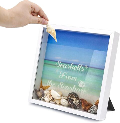FramePro 8"x8" Seashell Holder Display case-Seashells Agates Shark Teeth Starfish Trinke, Seashell Collection Box Decorative Shadow Box with Real Glass ,Wall Mount or Tabletop (White) in Kuwait