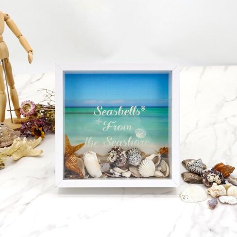 FramePro 8"x8" Seashell Holder Display case-Seashells Agates Shark Teeth Starfish Trinke, Seashell Collection Box Decorative Shadow Box with Real Glass ,Wall Mount or Tabletop (White) in Kuwait