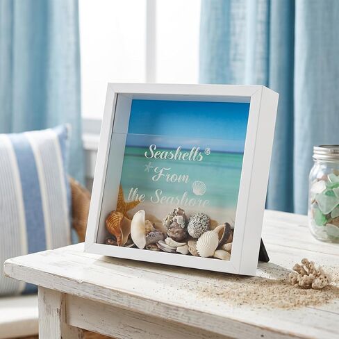 FramePro 8"x8" Seashell Holder Display case-Seashells Agates Shark Teeth Starfish Trinke, Seashell Collection Box Decorative Shadow Box with Real Glass ,Wall Mount or Tabletop (White) in Kuwait