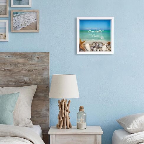 FramePro 8"x8" Seashell Holder Display case-Seashells Agates Shark Teeth Starfish Trinke, Seashell Collection Box Decorative Shadow Box with Real Glass ,Wall Mount or Tabletop (White) in Kuwait