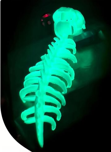 ZBH1985 Glow in The Dark Dinosaur Skeleton Hat for Adults 3D Luminous Plush Hats with Dinosaur Voice in Saudi Arabia