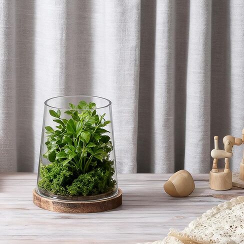 6" Wide Glass Hurricane Candle Holders with Handmade Sturdy Glass Sleeves and Vintage Natural Wood Base for Pillar Candle & Plants, Industrial, Farmhouse, Display Cloche Bell Jars, Table Centerpiece in Saudi Arabia