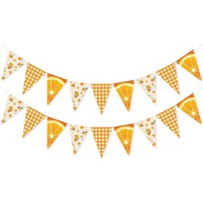 Orange Banner Little Cutie Baby Shower Decorations, Double-Sided Printing Citrus Triangle Flags Plaid Pennant Garland Orange Party Decorations for Birthday Wedding Engagement Supplies in Kuwait