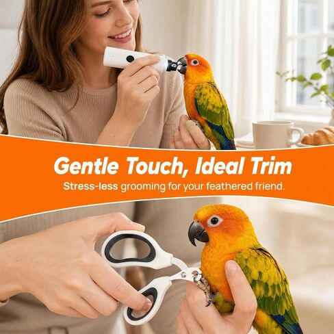 LED Pet Bird Nail Grinder, Electric Beak File Tool for Budgerigars, Parakeets, Conure, Lovebirds (White) in Kuwait