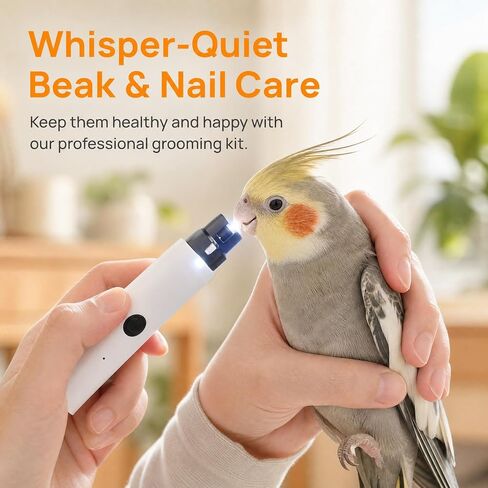 LED Pet Bird Nail Grinder, Electric Beak File Tool for Budgerigars, Parakeets, Conure, Lovebirds (White) in Kuwait
