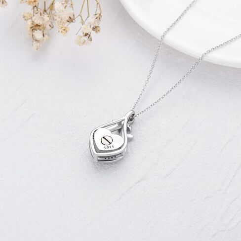 Urn Necklace for Ashes 925 Sterling Silver Butterfly Dragonfly Cremation Keepsake Memorial Jewelry with Heart Crystal from Austria in Kuwait