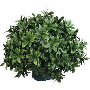 Artificial Boxwood Potted Plant – 18inch Faux Boxwood Topiary in Pot, 2-Pack, UV Resistant Artificial Shrub for Front Porch, Patio, Garden, Indoor Outdoor Home Decor in Saudi Arabia