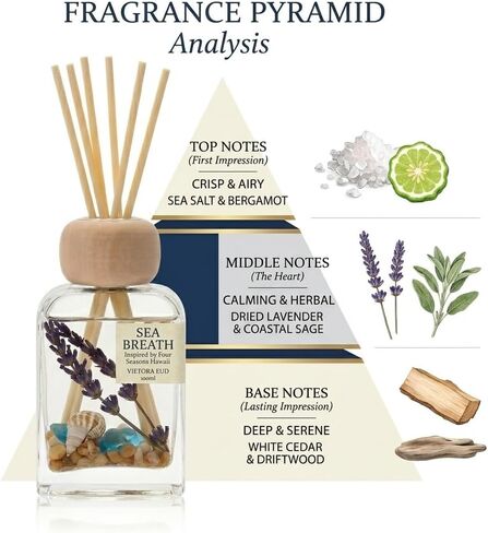 Sea Salt Reed Diffuser for Bathroom & Bedroom - 3.38 Fl Oz, Ocean Breeze Home Fragrance for Women, Coastal Beach Decor with Seashells, Spa Aromatherapy, Non-Toxic Long Lasting & Gift Ready in Saudi Arabia