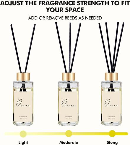 Reed Diffuser Set of 3, Eucalyptus, Linen & Ocean Scented Oil Diffusers with 15 Reeds, Long-Lasting Home Fragrance for Bedroom & Bathroom Decor, 1.7 fl oz Each, Total 5.1 oz in Saudi Arabia