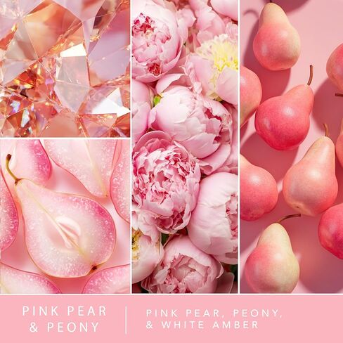 ScentSationals Water-Based Reed Diffuser - Pink Pear & Peony - 5 FL OZ Aromatherapy Reed Diffuser in Kuwait