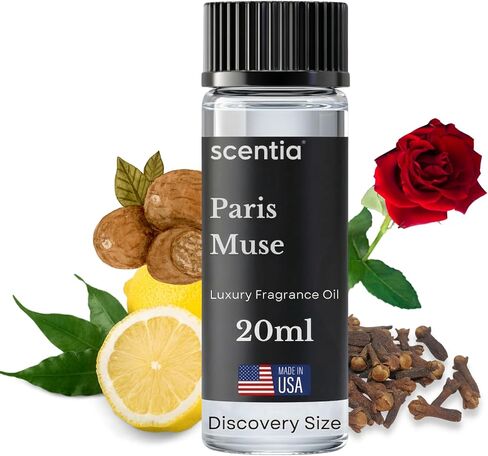 Scentia Coastal (Cabana) Diffuser Oil Refill – Hotel Fragrance Oil Inspired by 5-Star Spa – 120 mL – Jasmine, Bergamot & Sea Breeze Long-Lasting Scent for Ultrasonic & Waterless Diffusers, Made in USA in Saudi Arabia