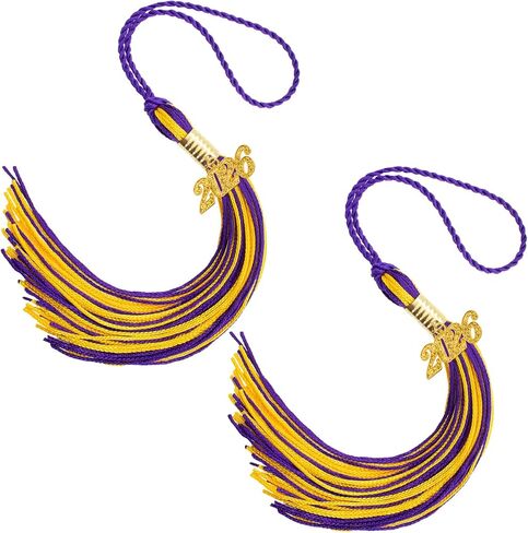 2026 Tassel Graduation, 2 Pcs Black Graduation Tassel 2026, Graduations Tassels with 2026 Year Gold Charms for Grad Cap Hat Accessories Ceremonies Memorial Graduations Party Decorations in Saudi Arabia