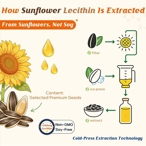 ABYSSUS Sunflower Lecithin Gummies 1200mg with Phosphatidyl Choline, Women’s Daily Supplement for Brain, Liver & Cell Health – Sugar Free, Soy Free, Non-GMO – 60 Count in Saudi Arabia