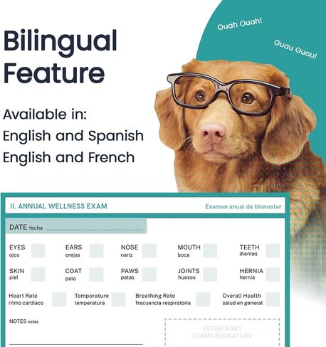 Color Premium PU Leather stitch-sewn Pet Passport Medical Record for Pet Health and Vaccination English + French for Cat, Dog, Puppy and Kitten (Valentine Pink, Single) in Saudi Arabia