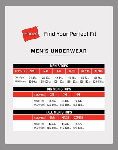 Hanes Mens Ultimate Big White T-Shirt 3-Pack, 2XB, White in Kuwait