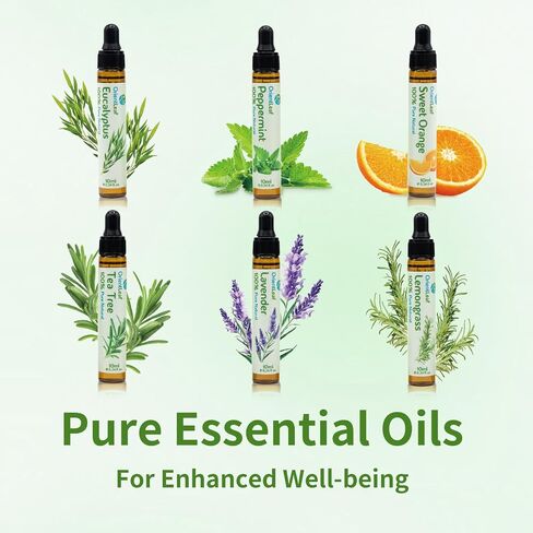 ORIENTLEAF Blended Essential Oils Set, Blends for Diffusers, Fragrance, Aromatherapy, Humidifiers, Peppermint, Tea Tree, Lavender, Eucalyptus, Orange, Citronella in Saudi Arabia
