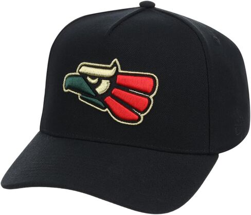 Rings & Crwns Mexico Country Pride Logo A-Frame Adjustable Snapback Cap (Black, One Size) in Kuwait