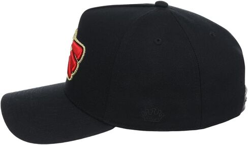 Rings & Crwns Mexico Country Pride Logo A-Frame Adjustable Snapback Cap (Black, One Size) in Kuwait