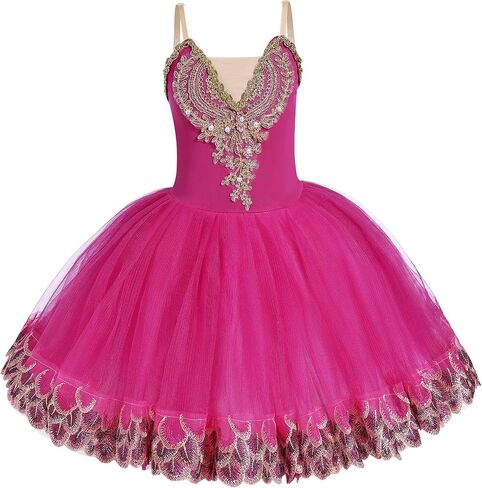 Ballet Dance Dress Girl Swan Lake Dance Outfits Ballerina Professional Gold Lace Feather Embroidery Midi Tulle Skirt in Kuwait
