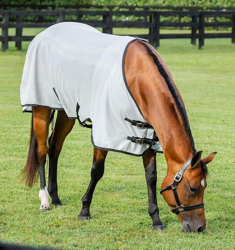 Horseware Ireland Amigo Bug Rug Stock Horse Silver and Black Fly Sheet NO Hood 78 in Saudi Arabia
