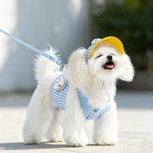Cat Puppy Costume Leash Harness Baseball Cap 3PCs Set Cute Pet Accessories Multiple Sizes for Cat Small Dog (Blue Leash+Harness+Cap 3pcs,Small) in Kuwait