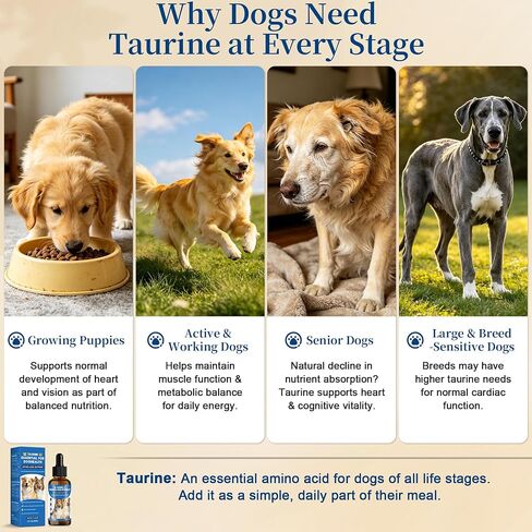 Liquid Taurine Supplement for Dogs - Bacon Flavor Dog Heart & Circulation Support with Dropper - Essential Amino Acid for Daily Nutritional Balance - 60ml in Saudi Arabia