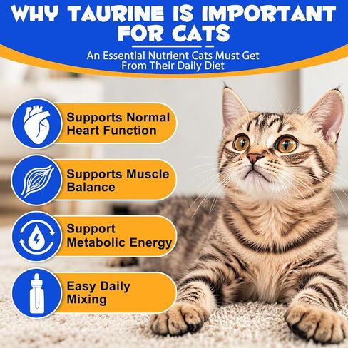 Taurine Liquid Drops for Cats – Essential Amino Acid Supplement – Easy-to-Use Liquid for Daily Nutritional Support & Overall Feline Wellness – Natural Chicken Flavor, 60ml in Kuwait