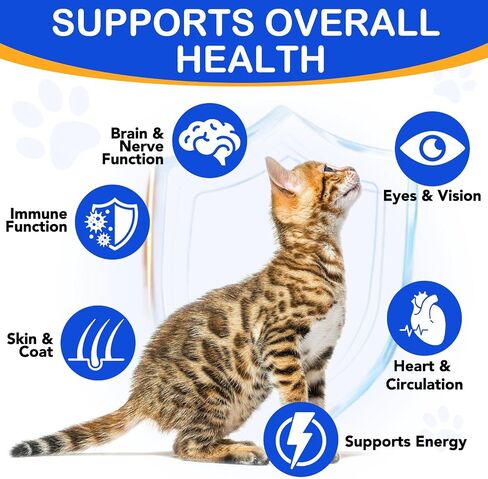 Taurine Liquid Drops for Cats – Essential Amino Acid Supplement – Easy-to-Use Liquid for Daily Nutritional Support & Overall Feline Wellness – Natural Chicken Flavor, 60ml in Kuwait