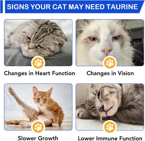 Taurine Liquid Drops for Cats – Essential Amino Acid Supplement – Easy-to-Use Liquid for Daily Nutritional Support & Overall Feline Wellness – Natural Chicken Flavor, 60ml in Kuwait