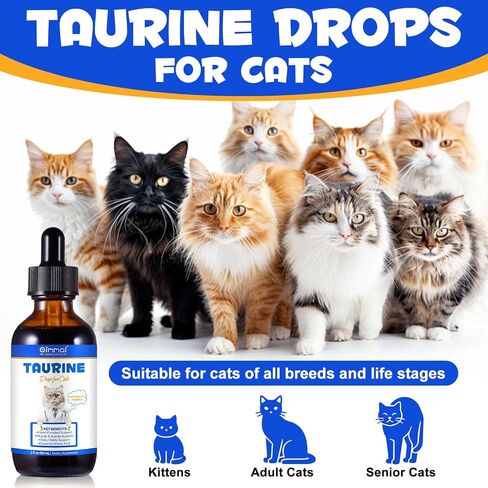 Taurine Liquid Drops for Cats – Essential Amino Acid Supplement – Easy-to-Use Liquid for Daily Nutritional Support & Overall Feline Wellness – Natural Chicken Flavor, 60ml in Kuwait