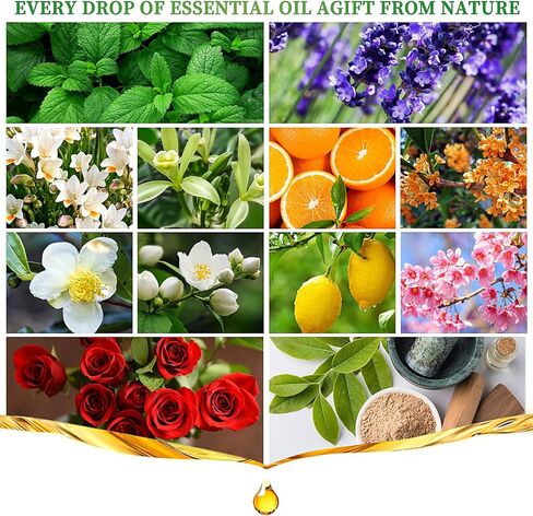 Essential Oils Set, 12 Scents, 10 ML Bottles, Lavender, Lemon, Rose, Jasmine, Vanilla, Sandalwood and More, for Humidifiers, Diffusers, Aromatherapy in Saudi Arabia