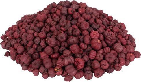 Putka Pods Dried Exotics 1/2 Pound (8 Cups) Mini Pumpkin Pods Harvest, Fall and Thanksgiving Décor Unscented Orange in Saudi Arabia