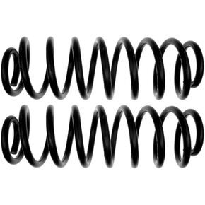 ACDelco Professional 45H2164 (19255624) Rear Coil Spring Set
