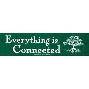 Everything is Connected - Environmental Bumper Sticker/Decal 9.5-by-2.5 Inches