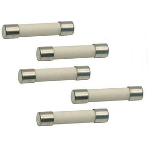 (Pack of 5) Microwave Replacement Fuse, 20A, 250V, Ceramic Line Fuse, Fast Blow Microwave Fuse