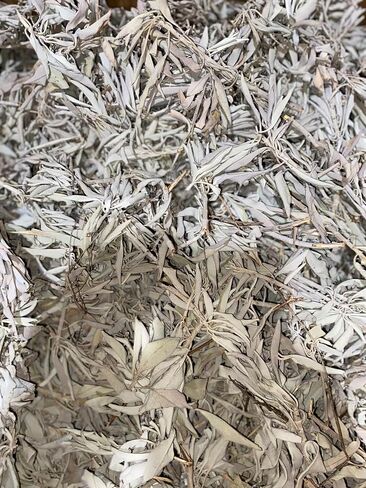 Generic Natural Lumina 1 Pound White Sage Cluster - Premium Quality Sacred Herb for Cleansing and Purification in Saudi Arabia