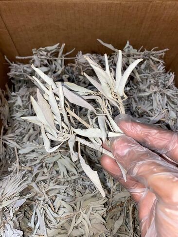 Generic Natural Lumina 1 Pound White Sage Cluster - Premium Quality Sacred Herb for Cleansing and Purification in Saudi Arabia