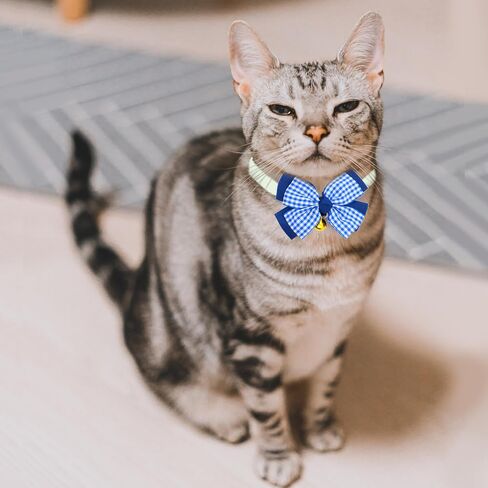 Dagslys Cat Collar with Bell Adjustable Pet Collar Breakaway Navy Blue White Buffalo Plaids Bow Tie Collar Grosgrain Ribbon Leather Kitten Cat Collar for Cats Pets Small Animals Costume Accessories in Saudi Arabia