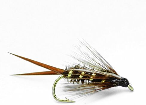 طُعم صيد السمك من Bead Prince Nymph Fly، 20 ذبابة مبللة لسمك السلمون المرقط وسمك السلمون والباس، تشكيلة 5 مقاسات 10,12,14,16,18 (4 من كل حجم) in Saudi Arabia