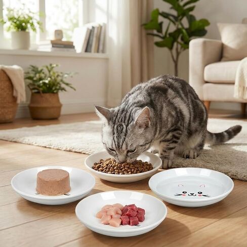 4 Pack Ceramic Cat Food Bowls, 5.9 Inch Wide Shallow Dishes with Cute Face Design, Anti-Whisker Fatigue Cat Bowl for Cats and Small Dogs, Microwave and Dishwasher Safe (Cute Face) in Kuwait