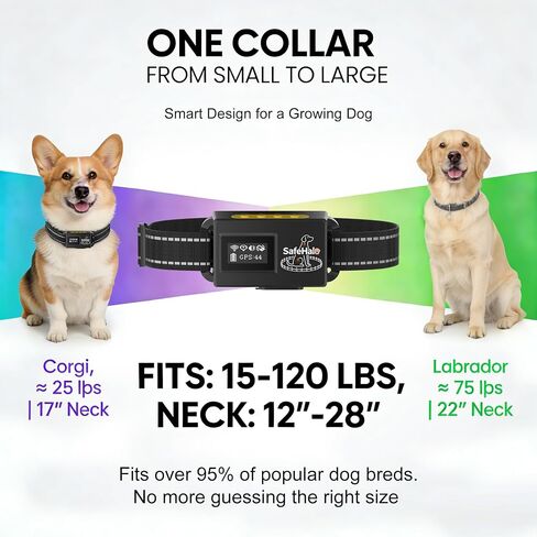 E-FENCE No Warranty GPS Wireless Dog Collar Fence System, Outdoor Use Only(Purple) in Saudi Arabia