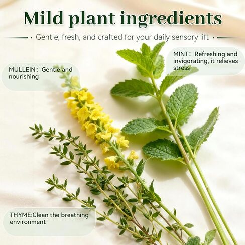 Herbal Diffuser Pen,Lung Cleanse Diffuser with Mullein, Thyme & Mint,Supports a Calm Mood and Relaxed Feelings in Saudi Arabia