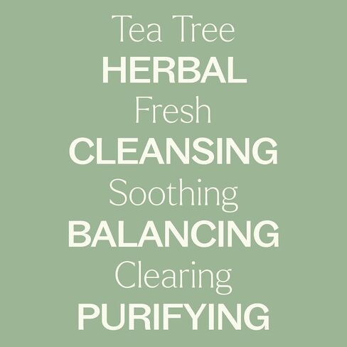 Plant Therapy Tea Tree (Melaleuca) Hydrosol 4 oz by-Product of Essential Oils in Kuwait
