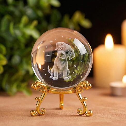 MAQUITA 20 Pcs Gold Crystal Ball Stand for Displaying Crystal Glass and Natural Rocks, Sphere Display Holder for 40mm-80mm Sphere or Stone in Kuwait