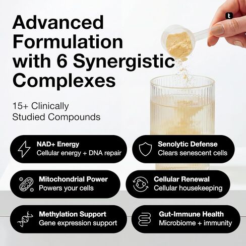 QOVA NMN Longevity Mix Supplement – 15+ Clinically-Studied Compounds - LipoAvail® Liposomal NMN, CoQ10, Spermidine & Apigenin - NAD+ Support, Senolytics, Mitochondrial Energy - 30 Servings in Kuwait