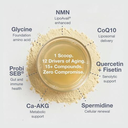 QOVA NMN Longevity Mix Supplement – 15+ Clinically-Studied Compounds - LipoAvail® Liposomal NMN, CoQ10, Spermidine & Apigenin - NAD+ Support, Senolytics, Mitochondrial Energy - 30 Servings in Kuwait
