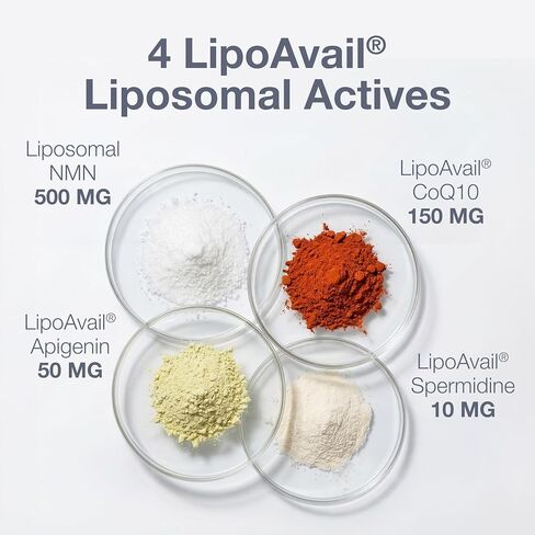 QOVA NMN Longevity Mix Supplement – 15+ Clinically-Studied Compounds - LipoAvail® Liposomal NMN, CoQ10, Spermidine & Apigenin - NAD+ Support, Senolytics, Mitochondrial Energy - 30 Servings in Kuwait